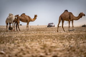 Kierowcy Toyot dominują na pierwszym etapie Manateq Qatar Cross Country Rally 2019